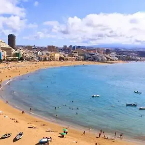 Nidillos Las Palmas de Gran Canaria